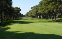 Golf (1)