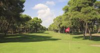 Golf (2)