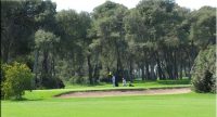 Golf (3)
