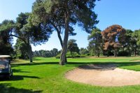 Golf (4)