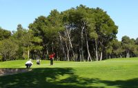 Golf (5)
