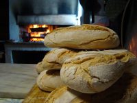 Panificazione4